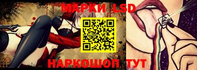 шишки Бийск