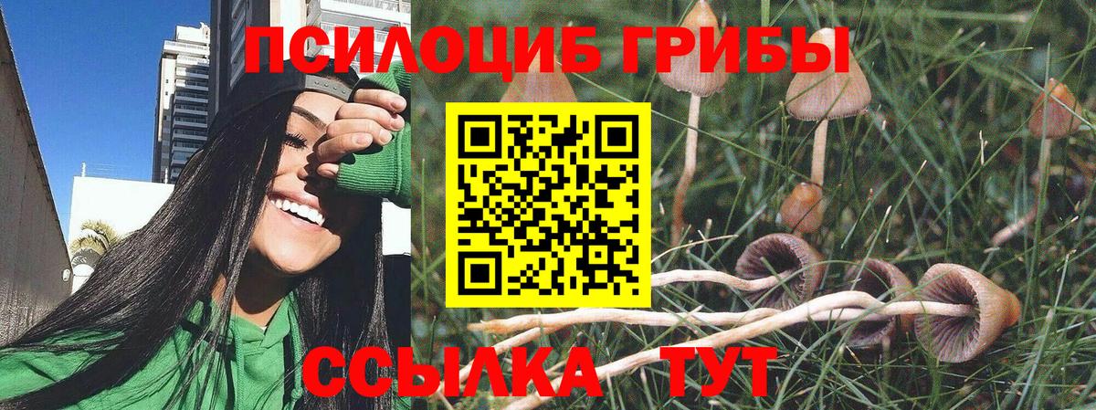 Псилоцибиновые грибы Magic Shrooms  Вход с VPN  Кемерово 